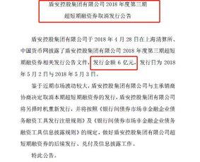 债务爆料新闻最新消息,揭露巨额债务背后的惊人真相  第1张